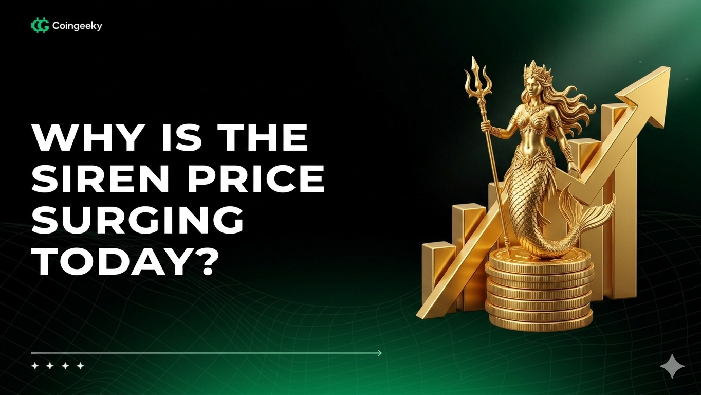 Why Is the Siren Price Surging Today?