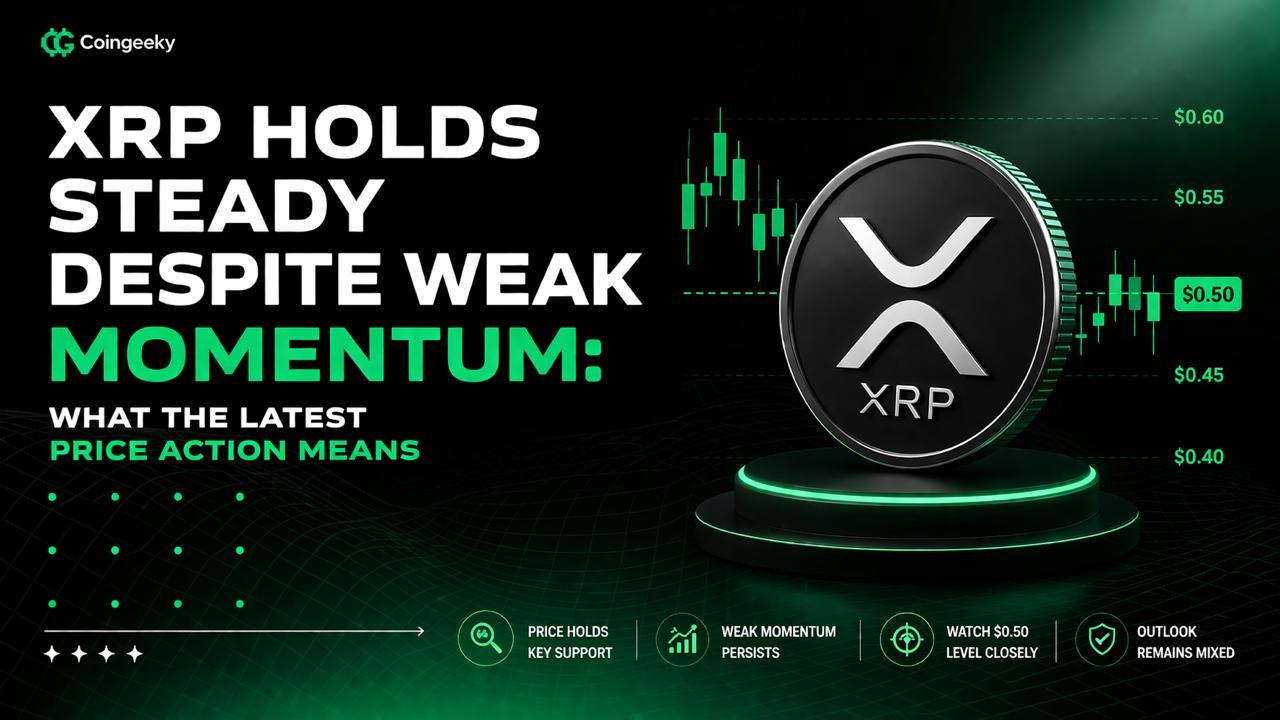 XRP Holds Steady Despite Weak Momentum: What the Latest Price Action Means