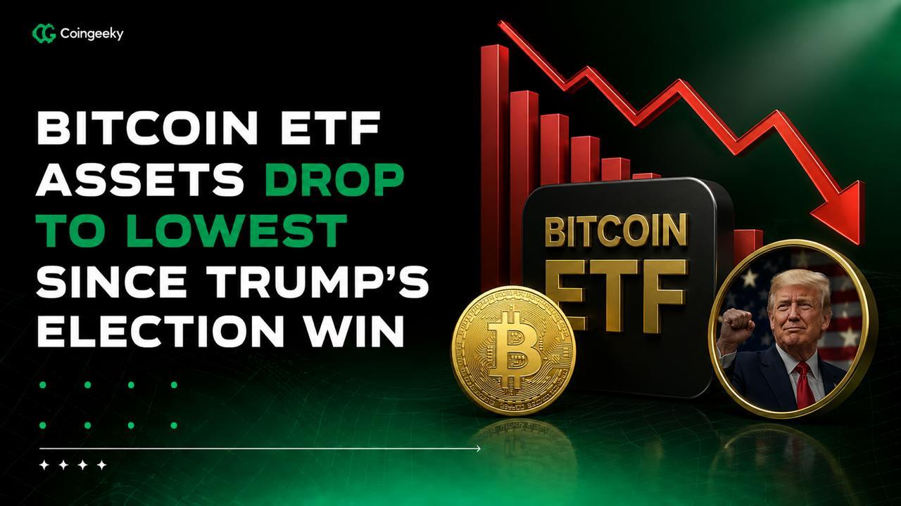 Bitcoin ETF Assets Drop to Lowest Since Trump's Election Win