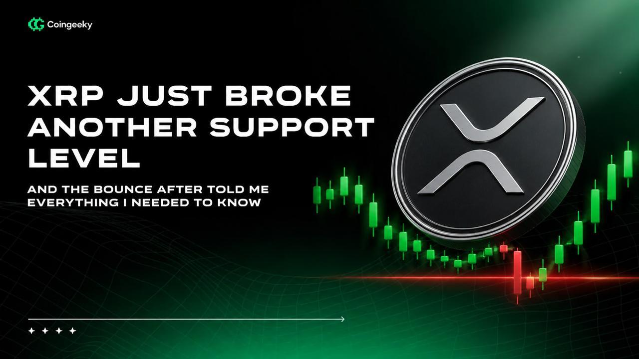 XRP Just Broke Another Support Level and the Bounce After Told Me Everything I Needed to Know